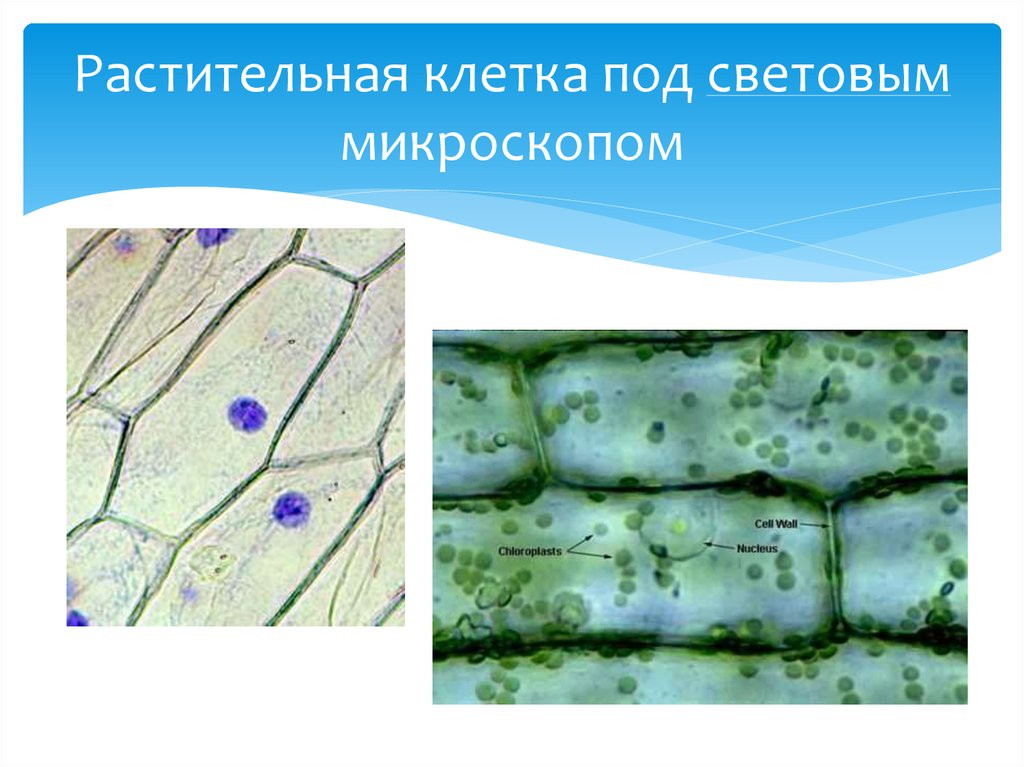  Bogofi ru 