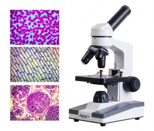 mikroskop-biologicheskiy-mikromed-s-11-kletki-bogofi