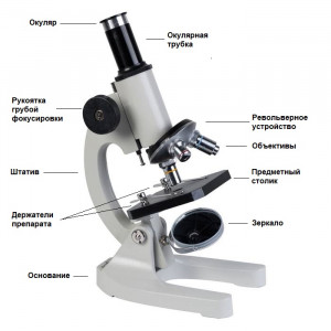 mikroskop-biologicheskiy-mikromed-s-13-opisanie-bogofi