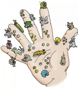 mikrobi-na-rukah-pod-mirkoskopom-bogofi
